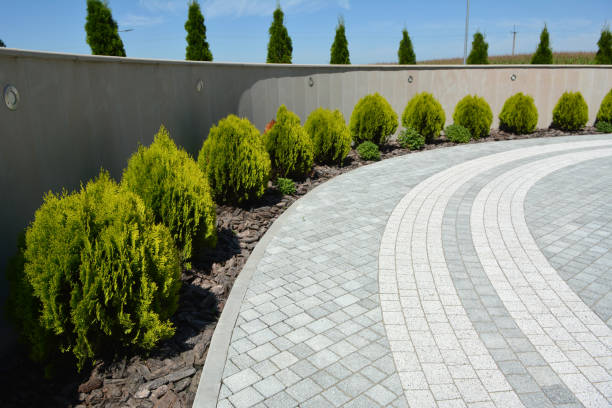 Best Driveway Paving Contractor  in Cairo, NE